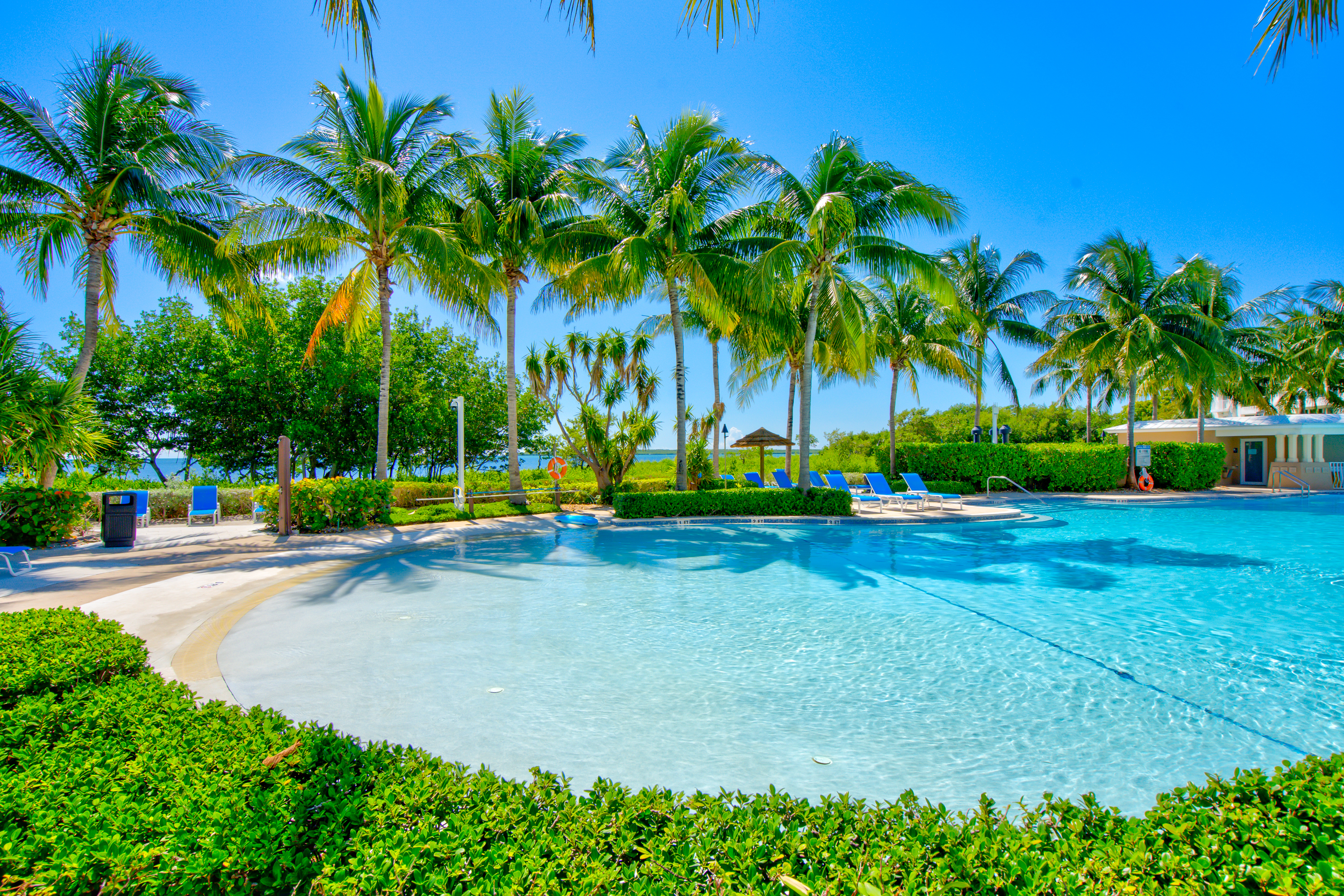 Beautiful oasis pool at Mariners Club of Key Largo